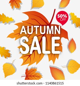 Autumn sale design banner