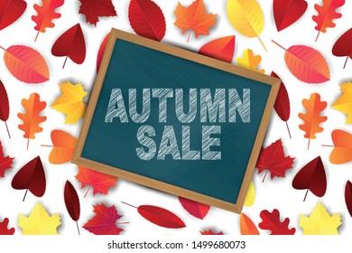 Autumn sale design concept. Banner for advertisement, promo, offer, presentation, greeting card. Typography text on chalkboard with wooden frame. Red and orange tree leaves on white background.