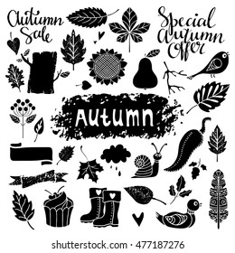 Autumn sale design elements set. Leaves, pear, birds, ribbon, pepper, cloud, hearts, snail, berries. Calligraphic text, handwritten. Isolated on white background