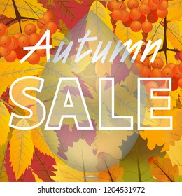 Autumn sale design. Fall discount with maple leaves and branch of rowan. Can be used in business for advertising, banners or posters. Vector illustration.