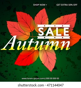 Autumn sale  design. Fall leaf. Label, banner template. promotion, advertising