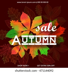 Autumn sale  design. Fall leaf. Label, banner template. promotion, advertising