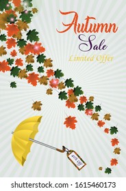 Autumn Sale Design with Falling Leaves and Lettering on Light Background. Autumnal Vector Illustration with Special Offer 