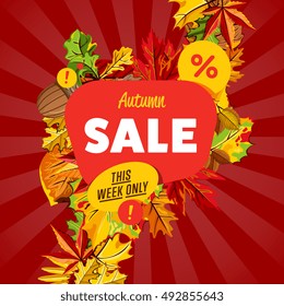 Autumn sale design template, vector illustration. This week only banner with colorful leaves on striped red background. Advertisement about autumnal discount. Business event concept. Flayer for shop