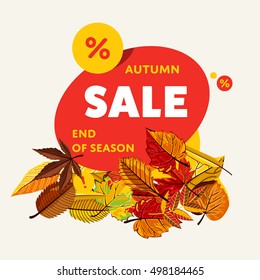 Autumn sale design template, vector illustration. End of season banner with colorful leaves on white background. Advertisement about autumnal discount. Business event concept. Flayer design for shop