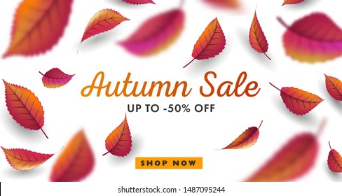 Autumn sale digital poster, banner sale advertising with red and orange leaves fall, 3d space graphic on white backdrop