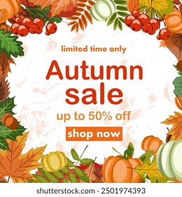 autumn sale, discount banner design on the background of colorful fallen leaves, pumpkins and rowan berries to promote purchases in the autumn season. bright vector illustration.