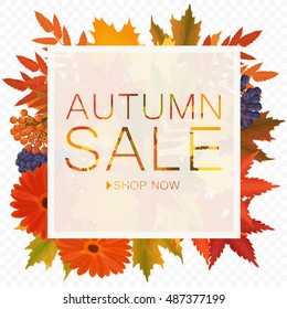 Autumn sale discount banner on the transperant alpha background. Poster with autumn golden orange foliage leaves
