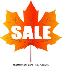 Autumn sale discount banner. Vector illustration. Orange yellow leaf design. Fall sale. White