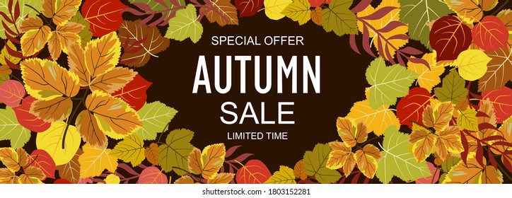 Autumn sale. Autumn discount banners. Falling leaves background. For store brochure or web banner. Vector illustration.