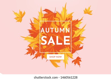 Autumn sale discount offer with maple leaves, banner and background vector illustration