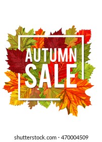 Autumn sale discount vector banner with orange foliage