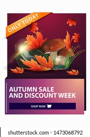 Autumn sale, discount vertical web banner with mushrooms and autumn leaves