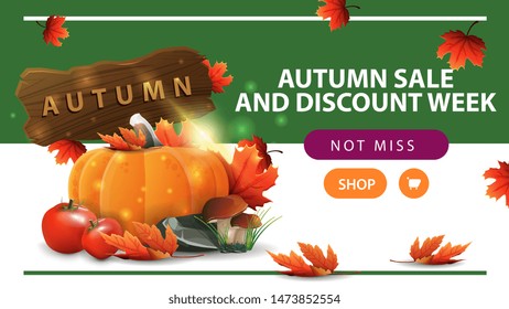 Autumn sale and discount week, horizontal discount web banner with harvest of vegetables and a wooden sign