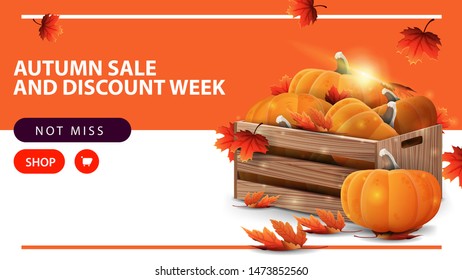 Autumn sale and discount week, horizontal discount web banner with wooden crates of ripe pumpkins and autumn eaves