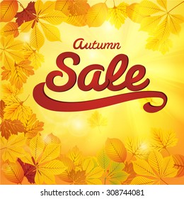 Autumn Sale Ã¢?? The elegant calligraphic inscription.Autumn sunlight shines through the bright red, yellow and orange leaves of trees. Vector illustration of a high quality.