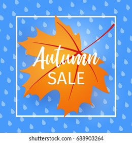 Autumn sale . Fall sale lettering design. Can be used for flyers, banners or posters. Vector illustration with colorful autumn leave on rain background