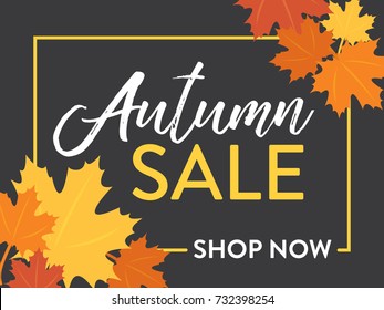 Autumn Sale, Fall Sale, One Time Only Shop Now Vector Illustration Sign Banner for shop, e-commerce, web, business, flyers, and posters