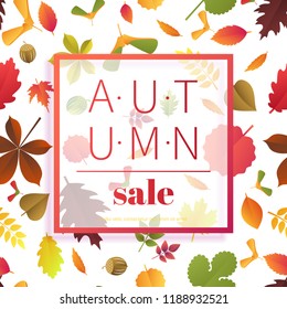 Autumn sale. Fall season sale and discounts banner. Colorful autumn leaves headline and sale invitation on white background. Vector illustration