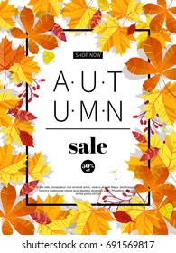 Autumn sale. Fall season sale and discounts banner. Colorful autumn leaves headline and sale invitation on white background. Vector illustration