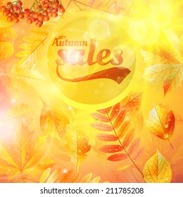 Autumn sale fall yellow leaves nature background. EPS10