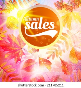 Autumn sale fall yellow leaves nature background. EPS10