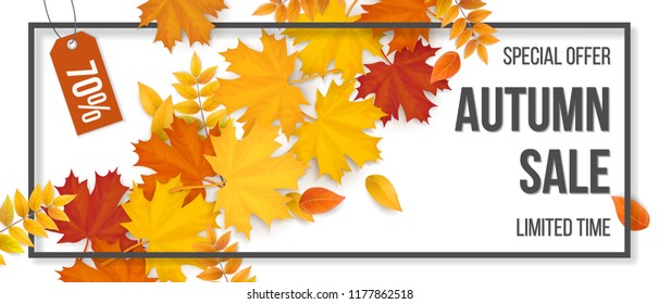 Autumn sale. Fallen maple leaves, frame and typographics. Background for invitation, discount offer or flyer. Realistic detailed vector template.