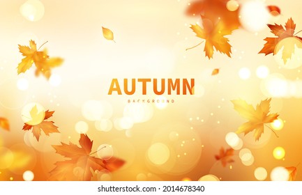 Autumn sale falling leaves background nature