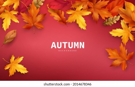 Autumn sale falling leaves background nature