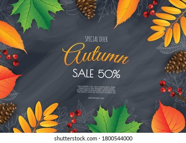 Autumn sale flyer template. Bright fall leaves. Poster, card, label, banner design.