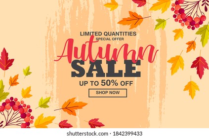 Autumn sale flyer template with lettering. Bright fall leaves. Poster, card, label, banner design. Bright striped background. Vector illustration EPS10