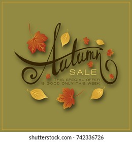 Autumn sale hand drawn lettering composition with autumn leaves. Handwritten calligraphy design on color background for promotions and sales.
