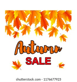 Autumn Sale. Hand drawn season flyer template with lettering and bright falling maple leaves. Poster, card, label, banner design on white background. Concept autumn advertising. Vector.