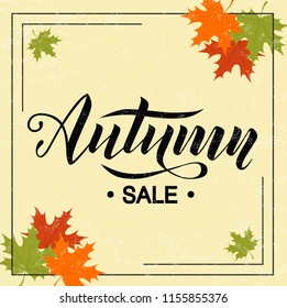 Autumn sale hand lettering text on beige background decorate with maple autumn leaves for shopping sale or promo poster and frame leaflet or web banner. Vector calligraphy illustration template.