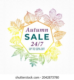 Autumn Sale Heptagonal Logo with Maple Hazel Oak Sycamore and Other Fall Leaves Retro Advertisment Print Style Composition Template - Multicolor on White Background - Vector Hand Drawn Design