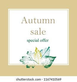 
Autumn sale.  Layout decorate with leaves. For shopping sale or promo poster and frame leaflet or web banner.Vector illustration template.

