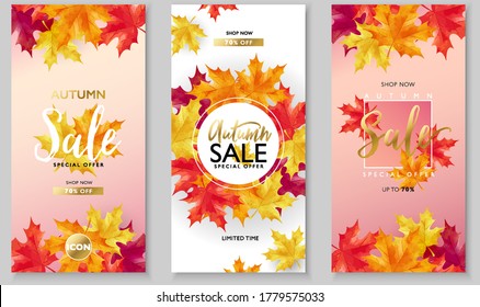 Autumn sale layout decorates with maple leaves on pink and white background for sale promotion, poster, flyer, leaflet, web banner and graphic use. Vector illustration template.
