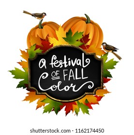 Autumn sale. Autumn leaves are drawn with chalk on a black chalkboard. Sketch, design elements. Vector.