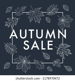 Autumn sale. Autumn leaves are drawn with chalk on the black chalkboard. Fall of the leaves. Vector.
