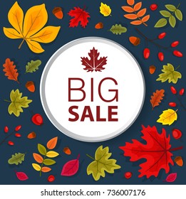 Autumn sale with autumn leaves on a blue background