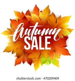 Autumn sale lettering design. Fall leaf. Label, banner template. Vector illustration EPS10