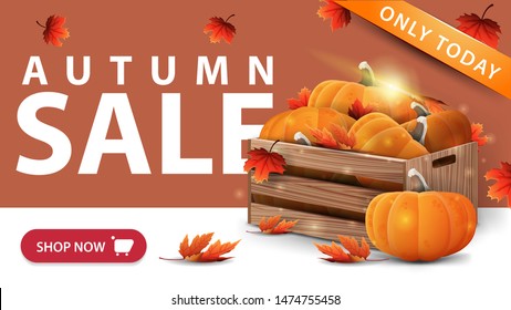 Autumn sale, modern orange discount banner with button, wooden crates of ripe pumpkins and autumn eaves