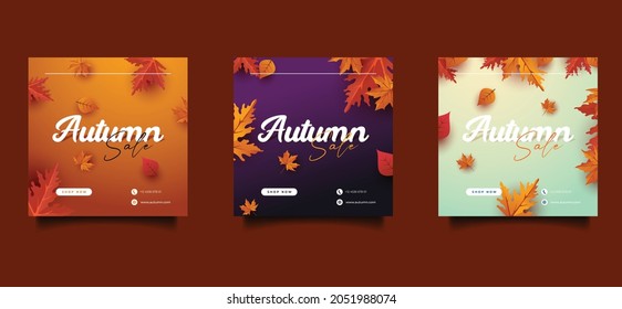 Autumn sale offer leaves background vector illustration