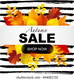 Autumn sale on a bright autumn foliage. Eps 10 vector file