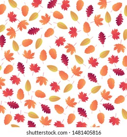 Autumn sale pattern layout decorate with leaves for shopping sale or promo poster and frame leaflet or web banner. Vector illustration template.