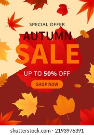 Autumn sale poster background layout design with leaves for sale promotion or shopping discount, flyer, social media post or web banner. Vector illustration template