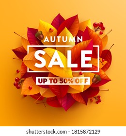 Autumn Sale poster or banner with autumn colorful leaves on yellow background.Greetings and presents for Autumn season.Vector illustration eps 10