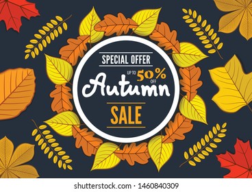 Autumn Sale poster, banner or label template with autumn leaves. Vector illustration