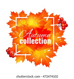 Autumn sale poster, discount