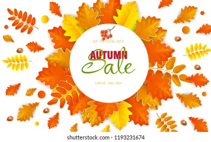 Autumn sale poster of discount promo web banner for autumnal seasonal shopping of maple leaf, rowan berry or oak acorn.